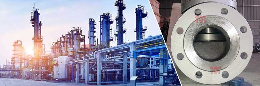 api globe valve application