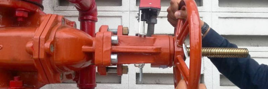 gate valve
