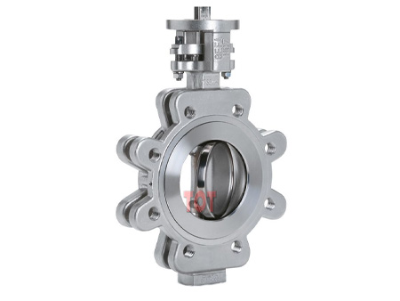 Double Offset Butterfly Valve