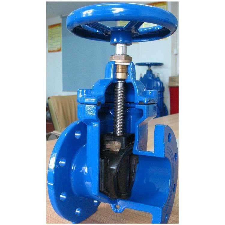 flexible wedge gate valve